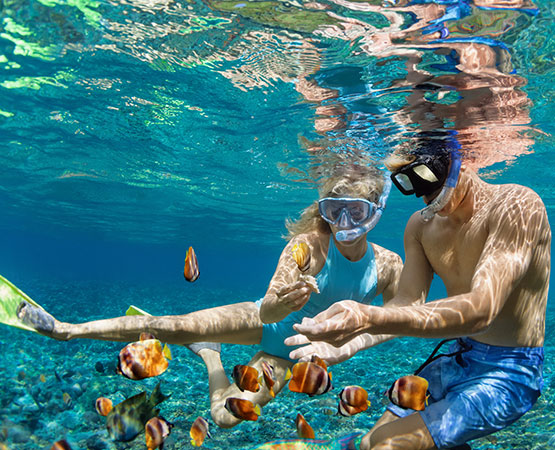 Des vacanciers nagent au milieu des poissons
