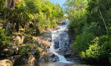une cascade dans la nature