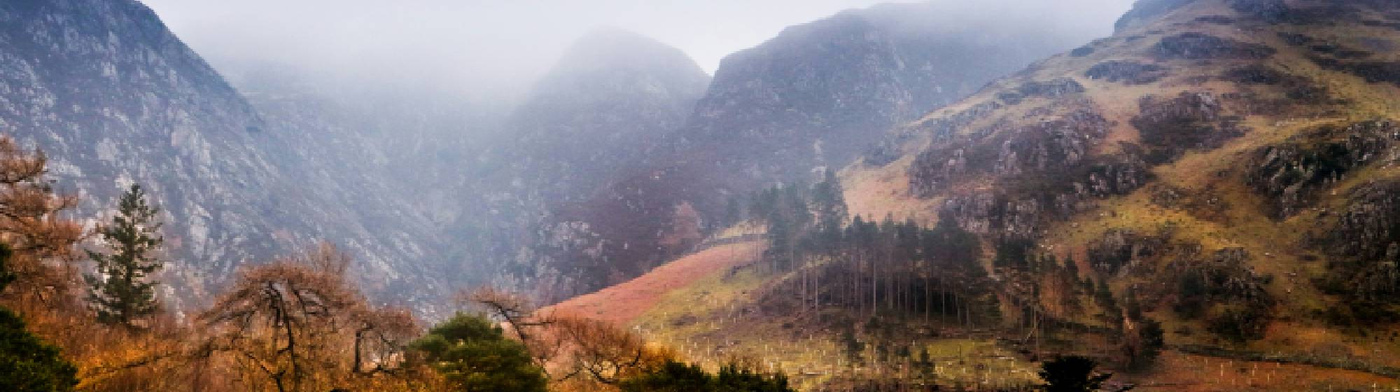 Image de la montagne en automne. 