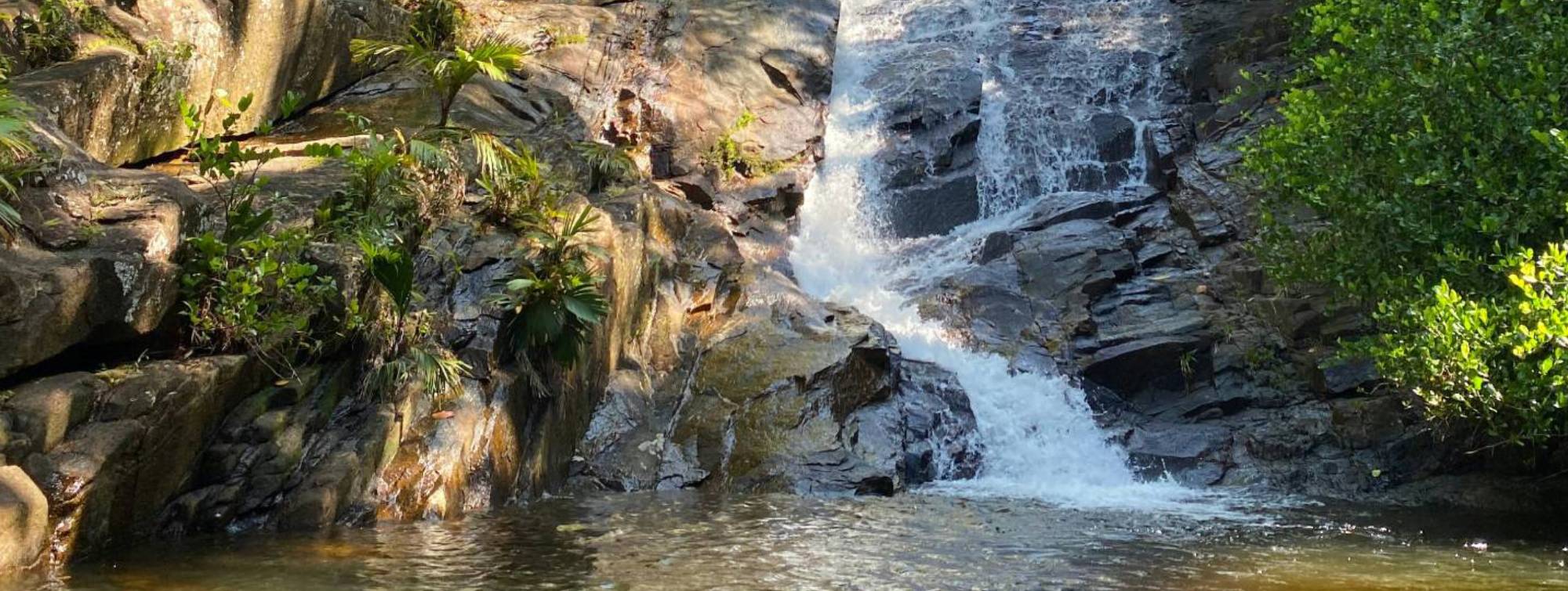 une cascade dans la nature