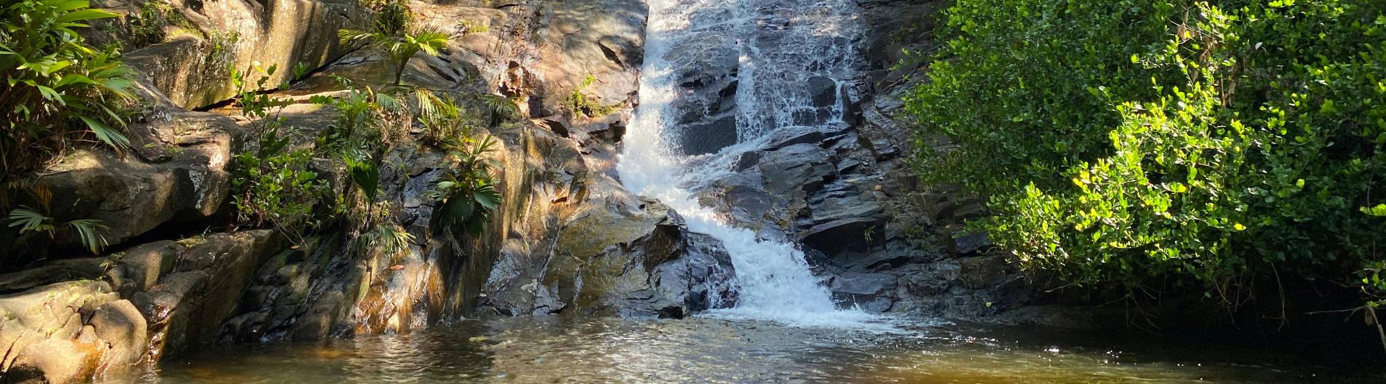 une cascade dans la nature