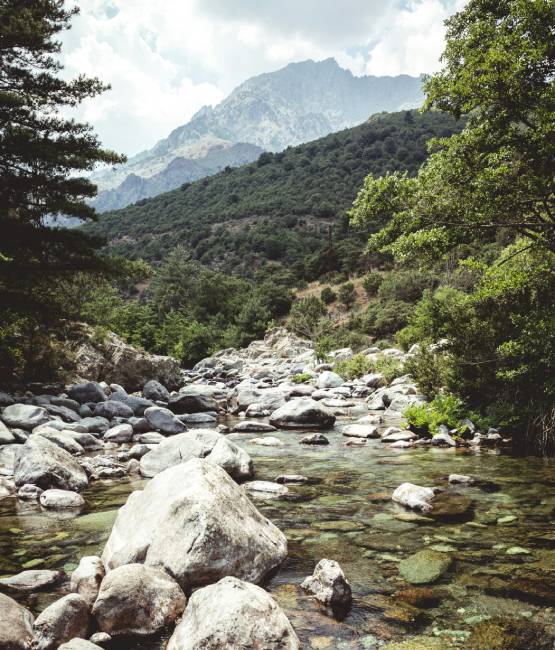 une rivière au milieu de la montagne