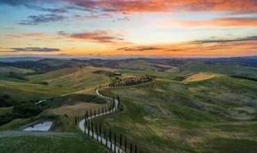 une vue panoramique sur une prairie