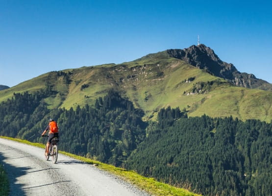 Le Kitzbüheler Horn est un sommet des Alpes autrichiennes