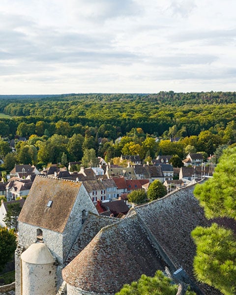 Village du parc de la Chevreuse
