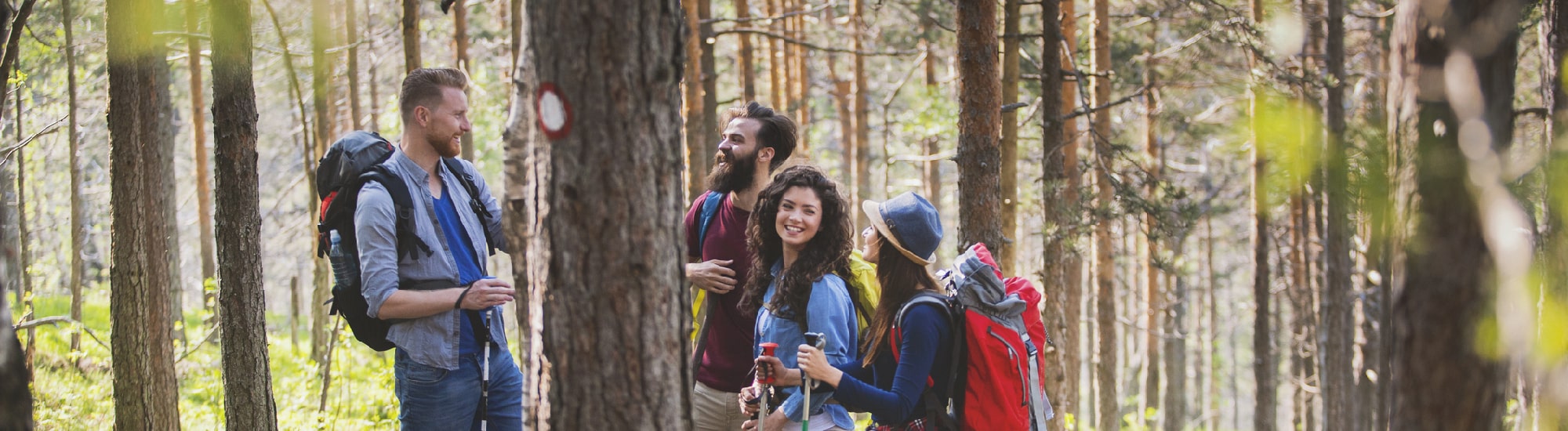 Un groupe de 4 jeunes se baladant en forêt. 