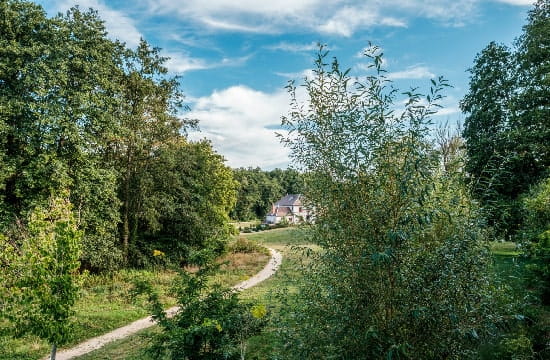 Image de la forêt de Rambouillet. 