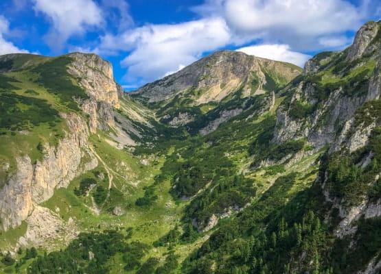 La verdure sur la montagne