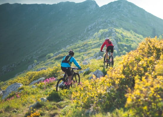 2 personnes qui font du vélo sur la montagne