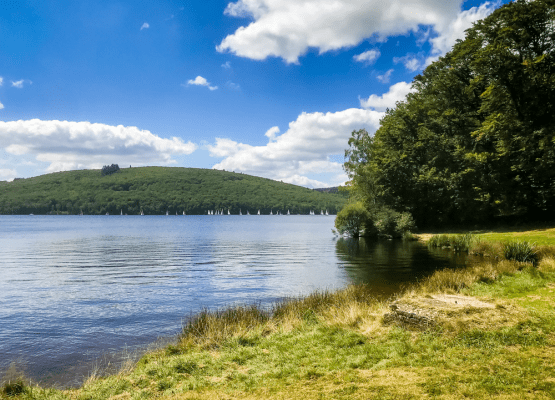Parc naturel regional de Millevaches
