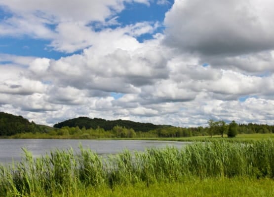 Un étang d'eau