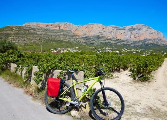 Un vélo posé sur une route