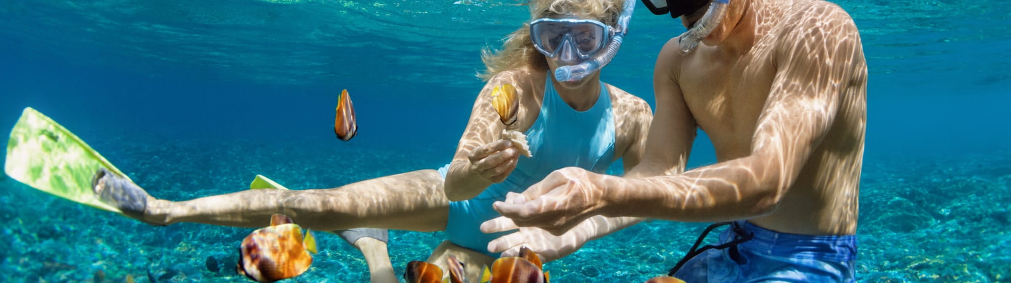 Des nageurs regardent les poissons dans l'eau