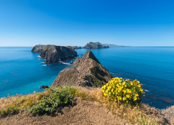 Vue sur la mer en Californie