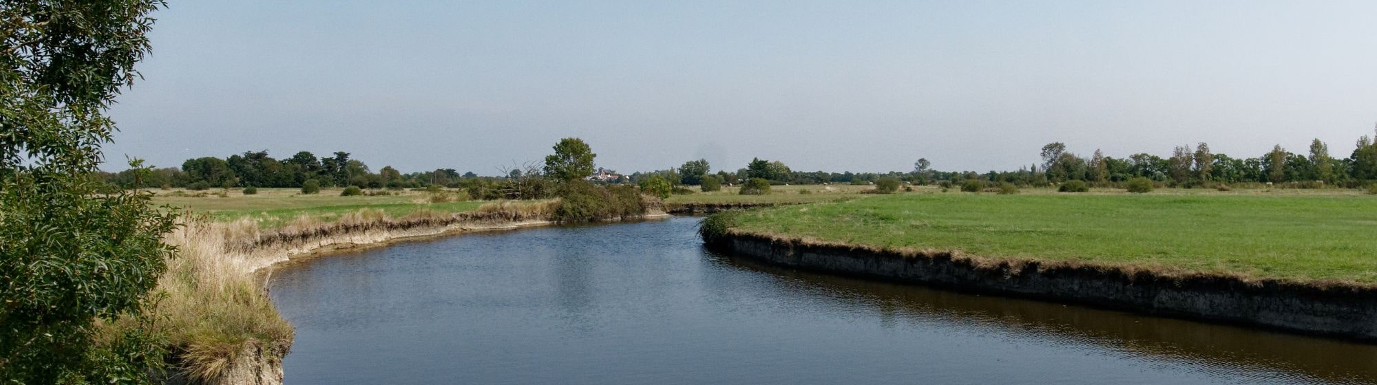 Une rivière au milieu du marais.