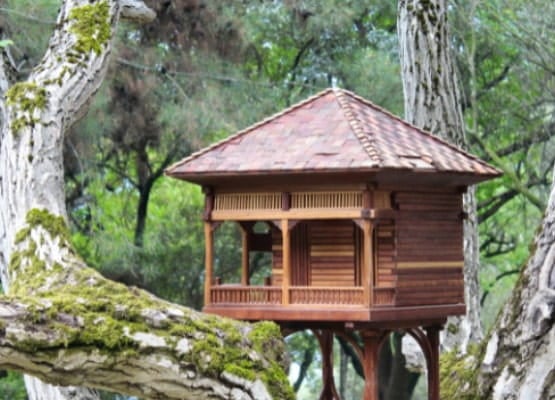 Une cabane dans les arbres