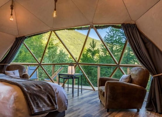 Une chambre dans la forêt