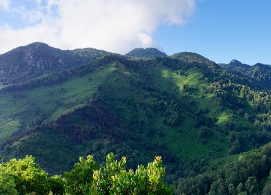 Les collines