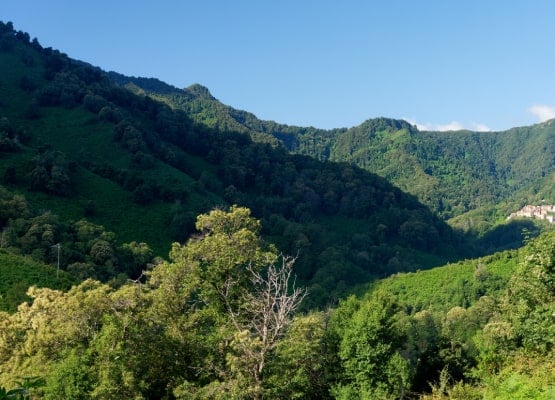 Une vue de la montagne verdoyante