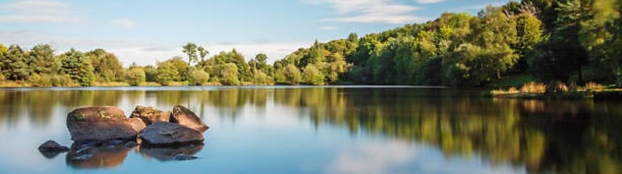 Une vue sur un lac bordé de forêt