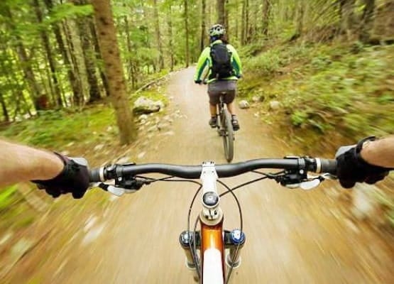 2 personnes qui font du VTT en forêt