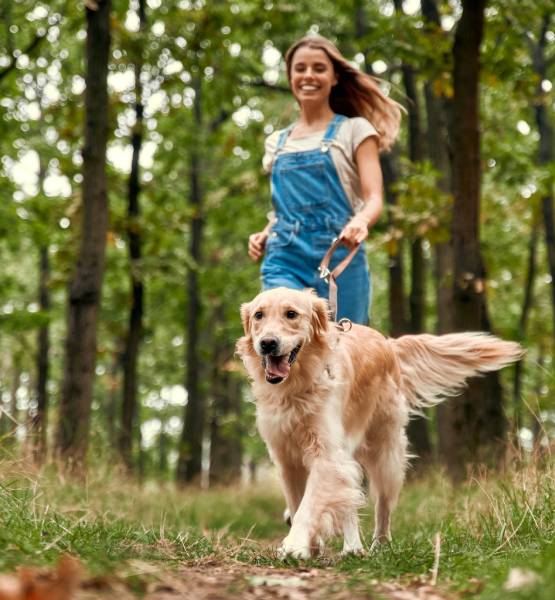 une fille qui promène son chien