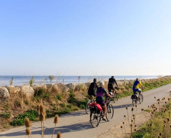 un groupe de cyclistes face à la mer