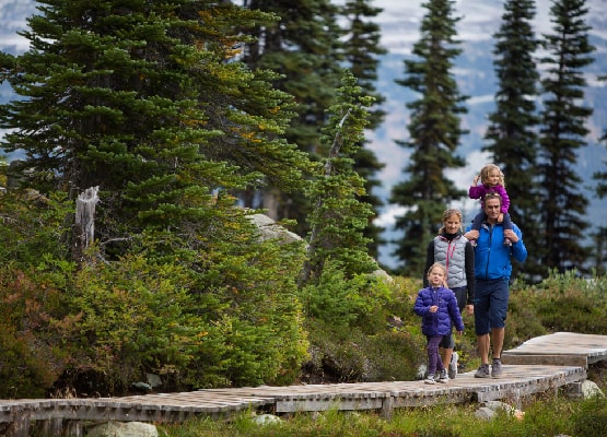 Une famille composée d'un couple et de deux enfants se baladant sur un chemin en bois en pleine foret. 