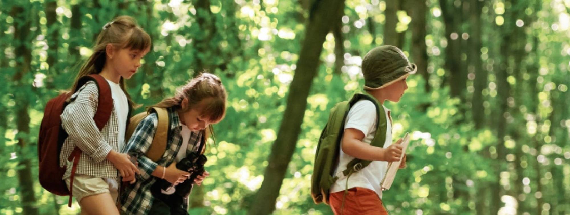 Un groupe de 4 jeunes se baladant en forêt. 