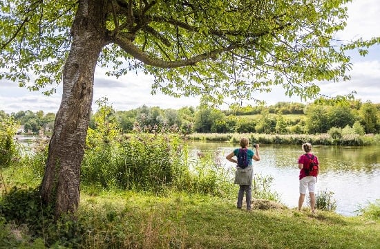 Image de la foret du Vexin. 