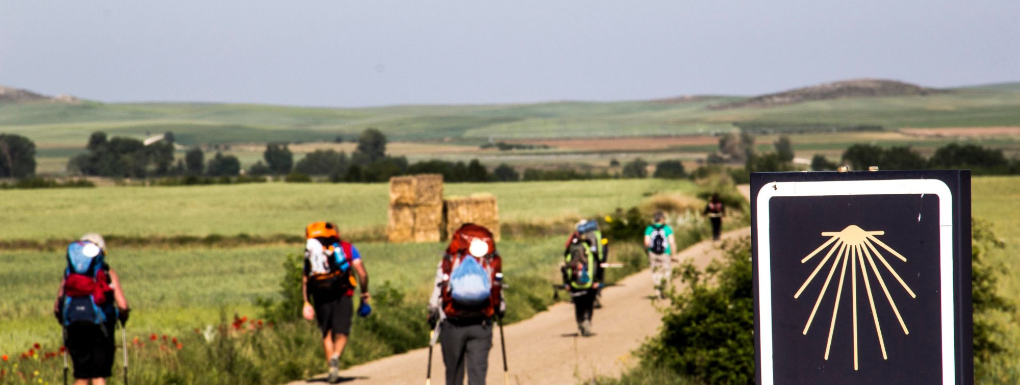 Le symbole du chemin de Compostelle