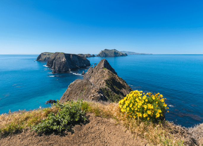 Vue sur la mer en Californie