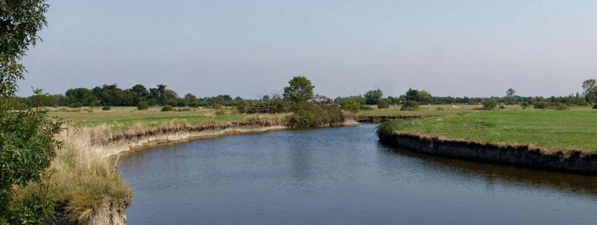 Une rivière au milieu du marais.