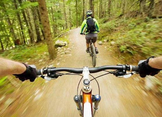 2 personnes qui font du VTT en forêt