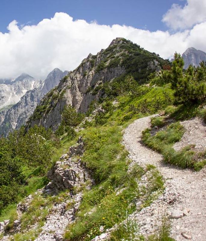 un sentier en montagne
