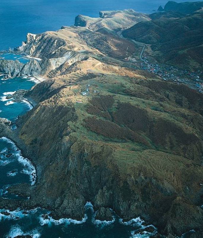 une vue aérienne d'une île sauvage