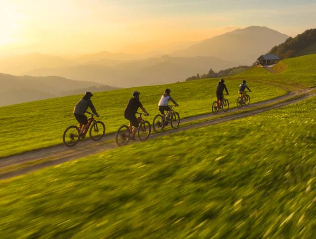 5 cyclistes sur un sentier de montagne